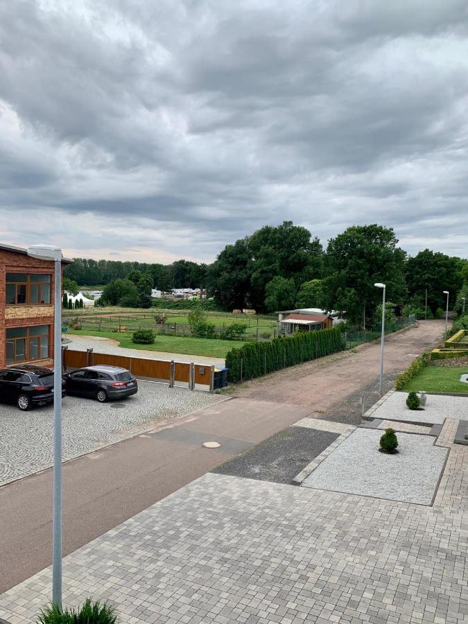 Ferienwohnung Zur Dexter-Zucht Coswig Coswig  Luaran gambar